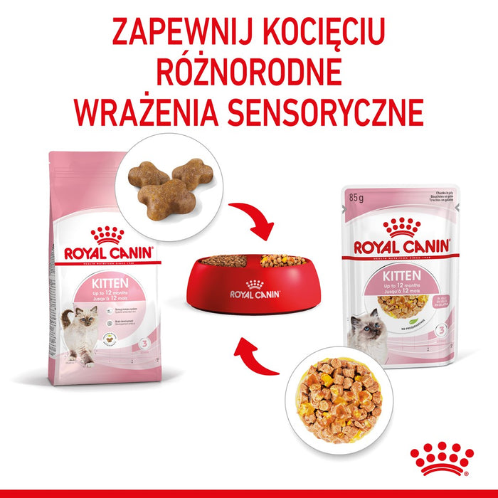 Royal Canin FHN Kitten Instinctive in sauce - wet food for kittens - 12x85g