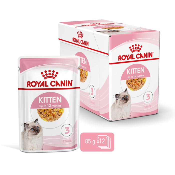 Royal Canin FHN Kitten Instinctive in sauce - wet food for kittens - 12x85g