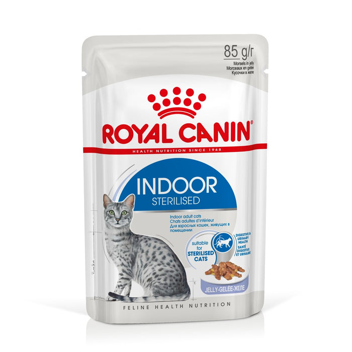 ROYAL CANIN FHN Indoor jelly - wet food for adult cats - 12x85g