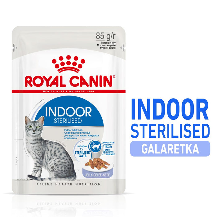 ROYAL CANIN FHN Indoor jelly - wet food for adult cats - 12x85g