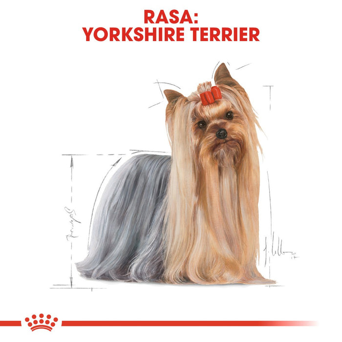 Royal Canin Yorkshire Terrier Adult 85 g