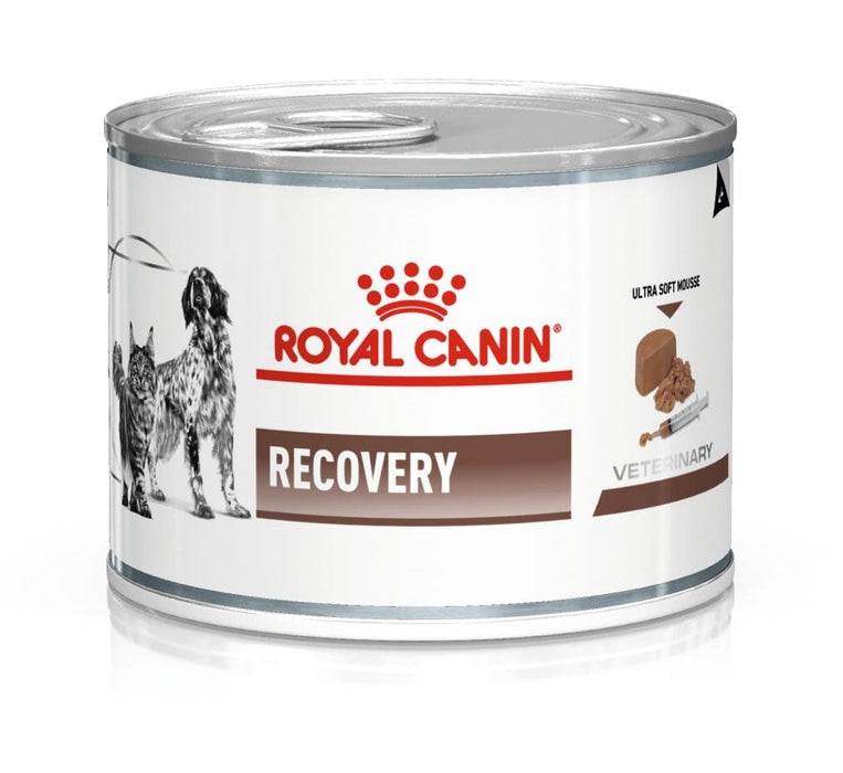 ROYAL CANIN Recovery - Wet dog and cat food - 195g