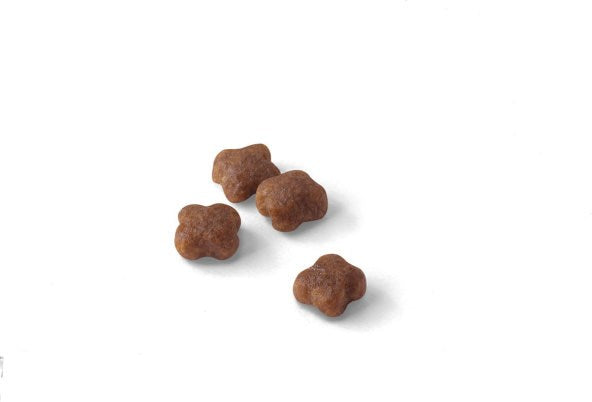 Royal Canin Mother & Babycat cats dry food 2 kg