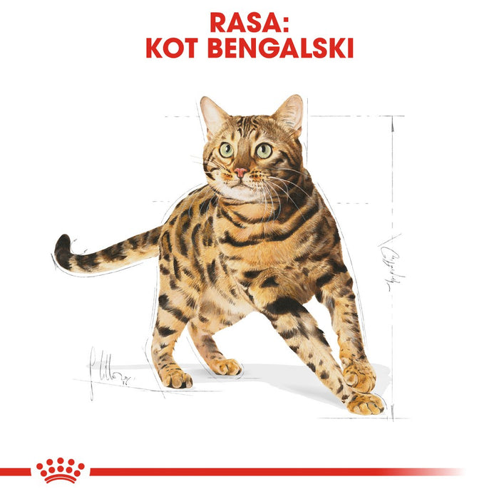 Royal Canin Bengal Adult cats dry food 2 kg Poultry, Vegetable