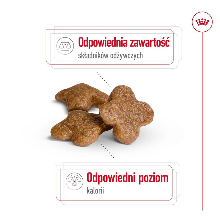 ROYAL CANIN S Mini Adult 8+ - dry dog food - 800 g