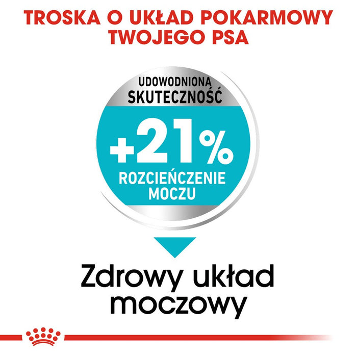 ROYAL CANIN Mini Urinary Care - dry dog food - 1 kg