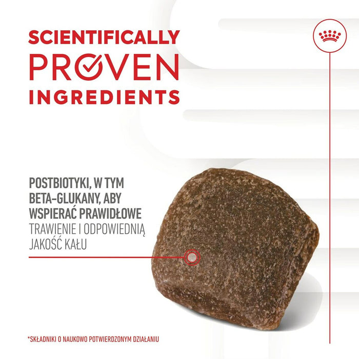 Dog Snack Royal Canin Supplements Dog Digestion Adult 160 g