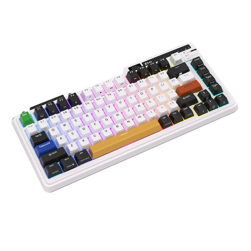 Royal Kludge KZZI K75 pro RGB wireless mechanical keyboard Eternity Switch (black and white) (QWERTY)