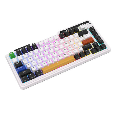 Royal Kludge KZZI K75 pro RGB wireless mechanical keyboard Eternity Switch (black and white) (QWERTY)