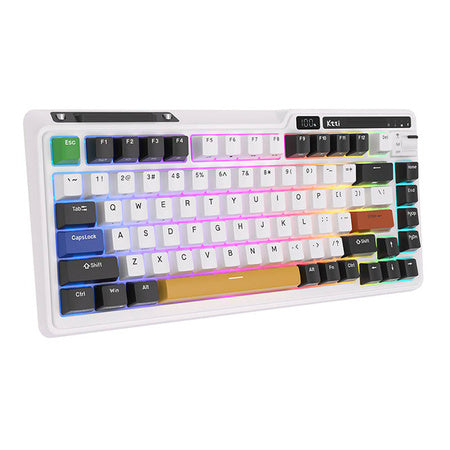 Royal Kludge KZZI K75 pro RGB wireless mechanical keyboard Moment Switch (black and white) (QWERTY)