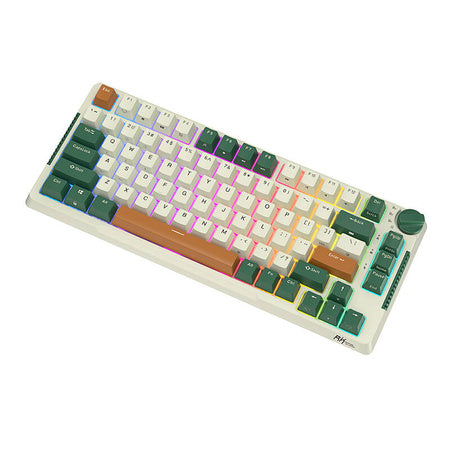Royal Kludge RKH81 RGB Wireless Mechanical Keyboard Sky cyan switch (green) (QWERTY)