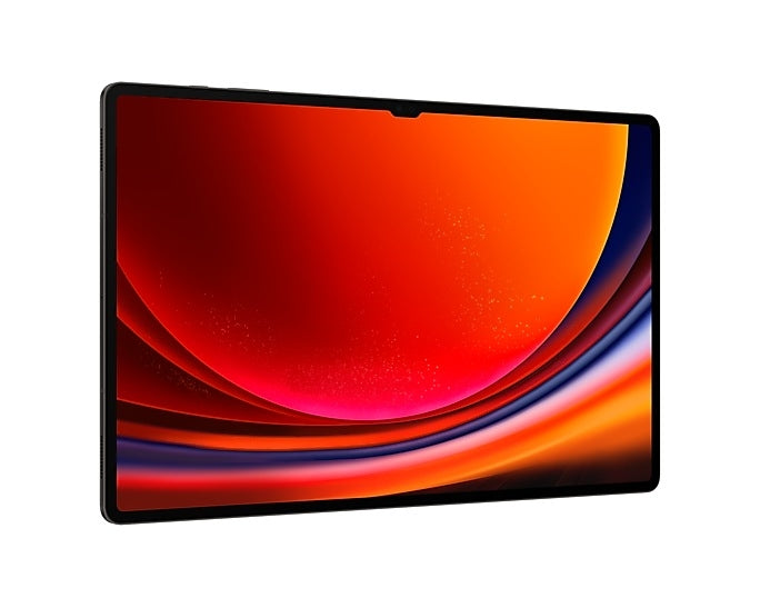 Samsung tablet - Galaxy Tab S9 Ultra 5G, 14.6'', 12GB/1TB, gray