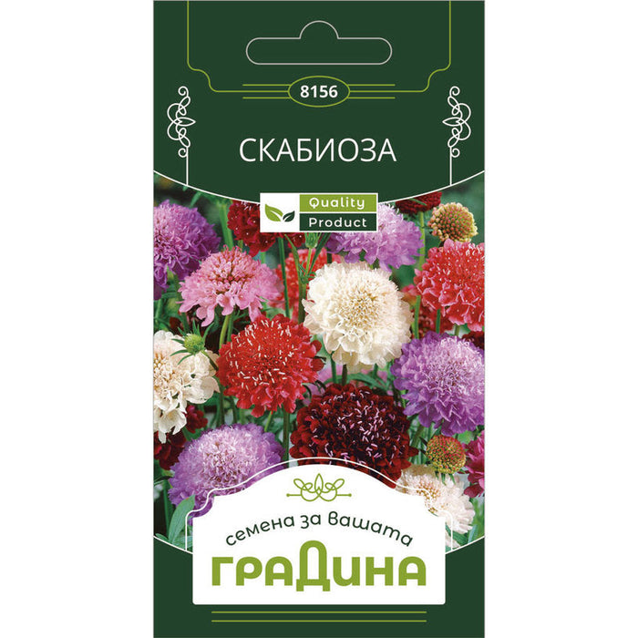 SCABIOSA SEEDS GARDEN - Семена<<<Семена луковици и разсад<<<Градина<<<Praktiker