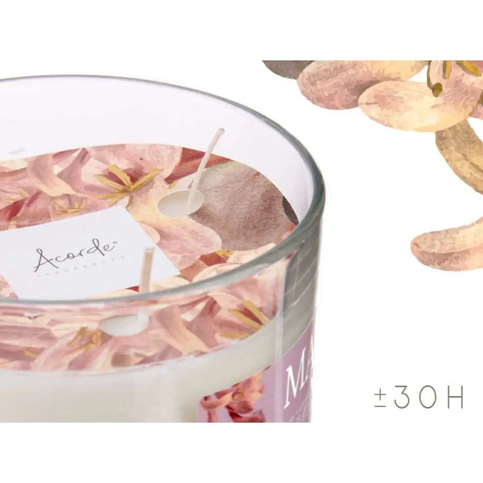 Scented Candle Acorde Maylu 400 g (6 Units) - Почистване Прахосмукачки И Гладене<<<Дом Градина<<<BigBuy&&&Ароматни