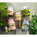 Scented Candle Yankee Candle 10.00114.0846 - Почистване Прахосмукачки И Гладене<<<Дом Градина<<<BigBuy&&&Ароматни