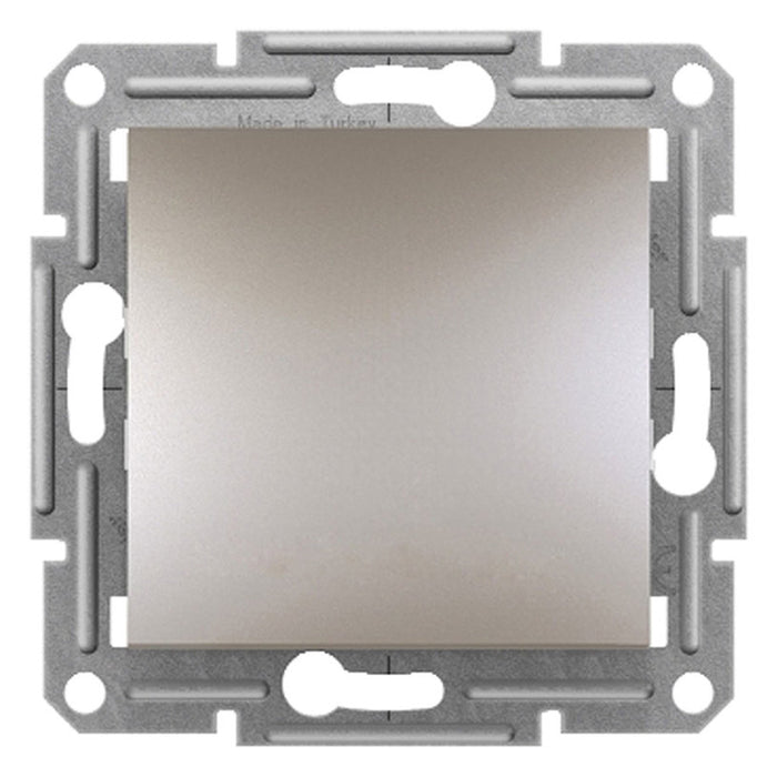 SCHNEIDER ASFORA SINGLE BRONZE KEY