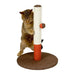 Scratching Post for Cats Kerbl Opal Basic Sisal 37 x 37 x 50 cm - Домашни Животни<<<Дом Градина<<<BigBuy&&&Здраве и