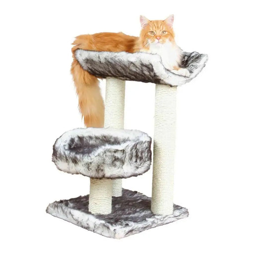 Scratching Post for Cats Trixie 44567 Tree Sisal Black Ø 8 cm 62 cm 36 x 36 cm - Здраве и хигиена<<<Домашни