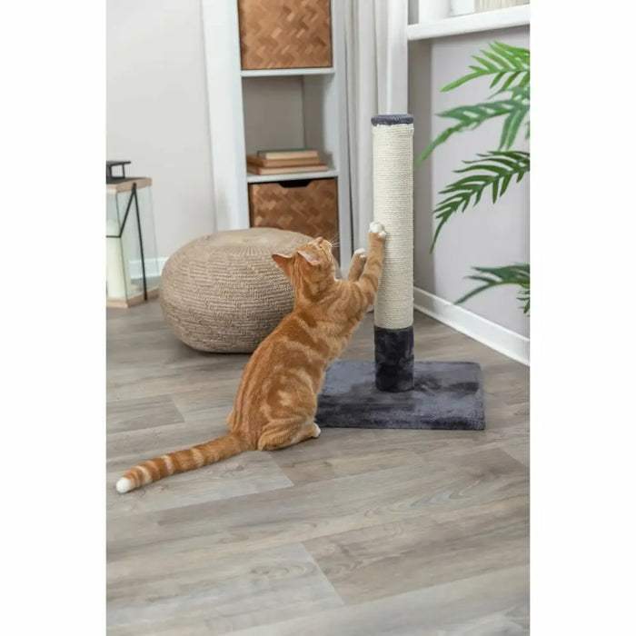 Scratching Post for Cats Trixie Bartes Grey - Домашни Животни<<<Дом Градина<<<BigBuy&&&Играчки<<<Домашни Животни<<<Дом