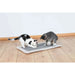 Scratching Post for Cats Trixie Grey Light grey Polyester Sisal EVA 55 × 35 cm - Домашни Животни<<<Дом