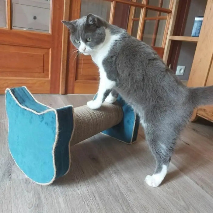 Scratching Post for Cats Tyrol Blue Cardboard 44 x 22 x 21 cm - Домашни Животни<<<Дом Градина<<<BigBuy&&&Къщички и