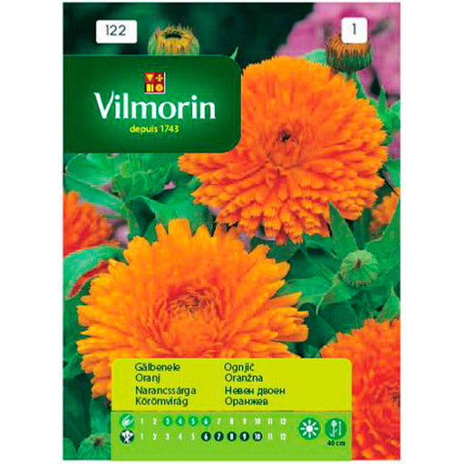 SEED CALLEDULA VILMORIN - Семена<<<Семена луковици и разсад<<<Градина<<<Praktiker