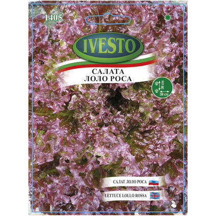 SEED SALAD LOLO ROSA IVESTO - Семена<<<Семена луковици и разсад<<<Градина<<<Praktiker