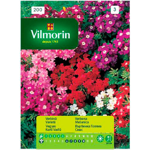 SEED VERBINA BIG VILMORIN - Семена<<<Семена луковици и разсад<<<Градина<<<Praktiker