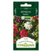 SEED WILLOW GARDEN - Семена<<<Семена луковици и разсад<<<Градина<<<Praktiker