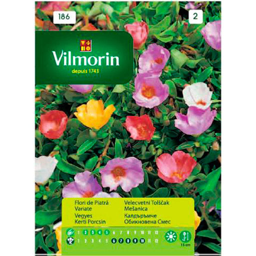 SEEDS COBBLE MIXTURE VILMORIN - Семена<<<Семена луковици и разсад<<<Градина<<<Praktiker