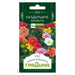SEEDS Cobblestone KICHESTO GARDEN - Семена<<<Семена луковици и разсад<<<Градина<<<Praktiker