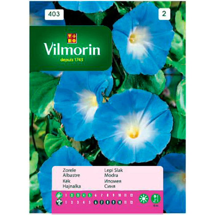 SEEDS IPOMEIA BLUE VILMORIN - Семена<<<Семена луковици и разсад<<<Градина<<<Praktiker