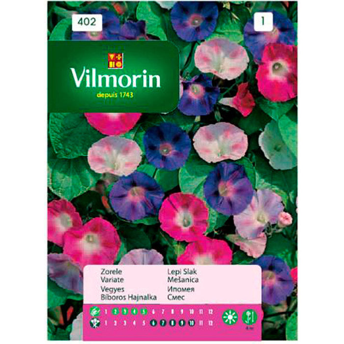 SEEDS IPOMEIA MIXTURE VILMORIN - Семена<<<Семена луковици и разсад<<<Градина<<<Praktiker