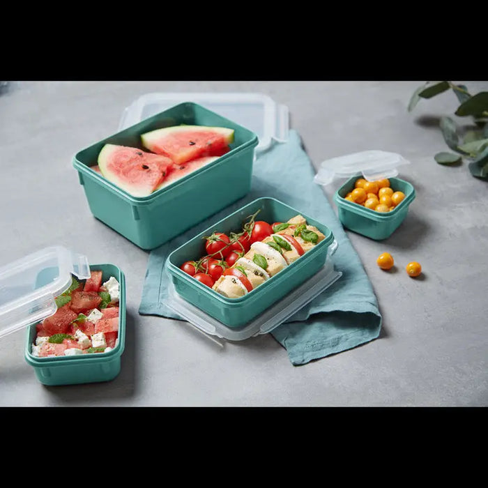 SET OF FOOD BOXES 4 PIECES N1031010 TEFAL MASTERSEAL - Кутии за храна и купи<<<Домашни потреби<<<Кухня<<<Praktiker