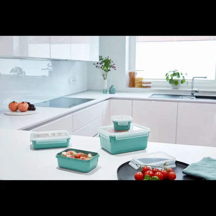 SET OF FOOD BOXES 4 PIECES N1031010 TEFAL MASTERSEAL - Кутии за храна и купи<<<Домашни потреби<<<Кухня<<<Praktiker