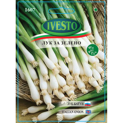 SHAVEL IVESTO ONION SEEDS FOR LINKS - Семена<<<Семена луковици и разсад<<<Градина<<<Praktiker