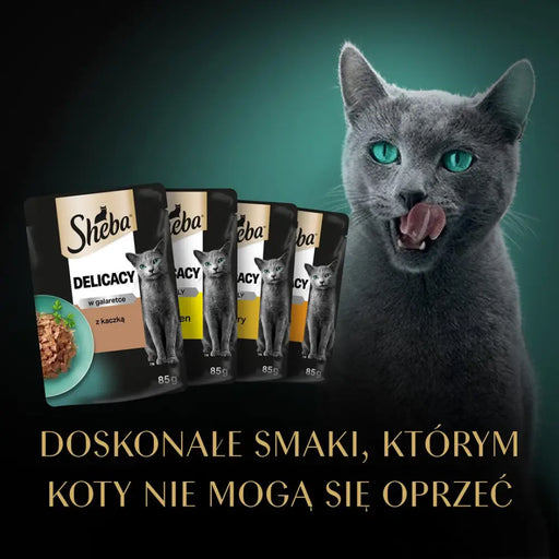 SHEBA Delicacy Drobiowe Smaki w galaretce - mokra karma dla kota - 40x85 g - Wet foodDLK-KAM<<<For the catDLK<<<ActionPL
