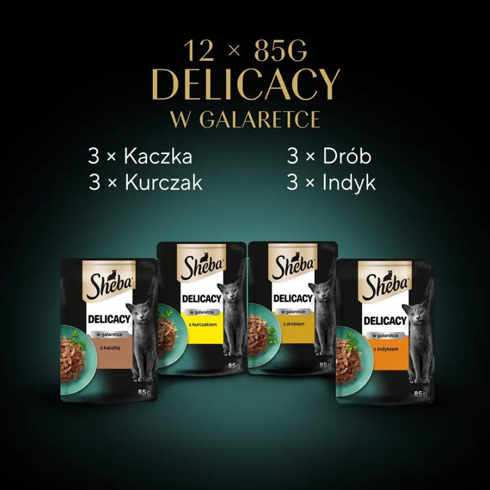 Sheba Delicacy in Jelly Chicken Flavours 12 x 85 g - Wet foodDLK-KAM<<<For the catDLK<<<ActionPL