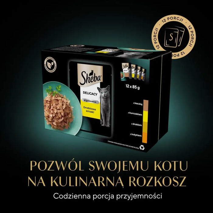 Sheba Delicacy in Jelly Chicken Flavours 12 x 85 g - Wet foodDLK-KAM<<<For the catDLK<<<ActionPL