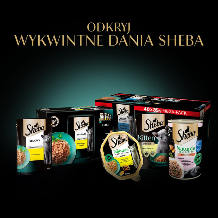 SHEBA Delicacy Fishy Flavours in jelly - wet cat food - 80x 85g