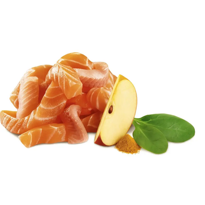 SHELMA Salmon and white fish pate - wet cat food - 100g - Wet foodDLK-KAM<<<For the catDLK<<<ActionPL