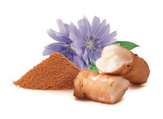 SHELMA Rich in beef in sauce - wet cat food - 85g