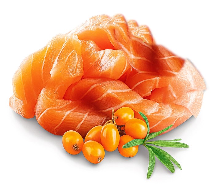 SHELMA Kitten with salmon in sauce - wet cat food - 85g