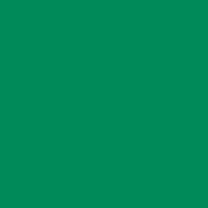 SILK PAINT GREEN 650 ML AQUIS - Алкидни и водоразтворими<<<Бои за метал и дърво<<<Бои и лакове<<<Praktiker