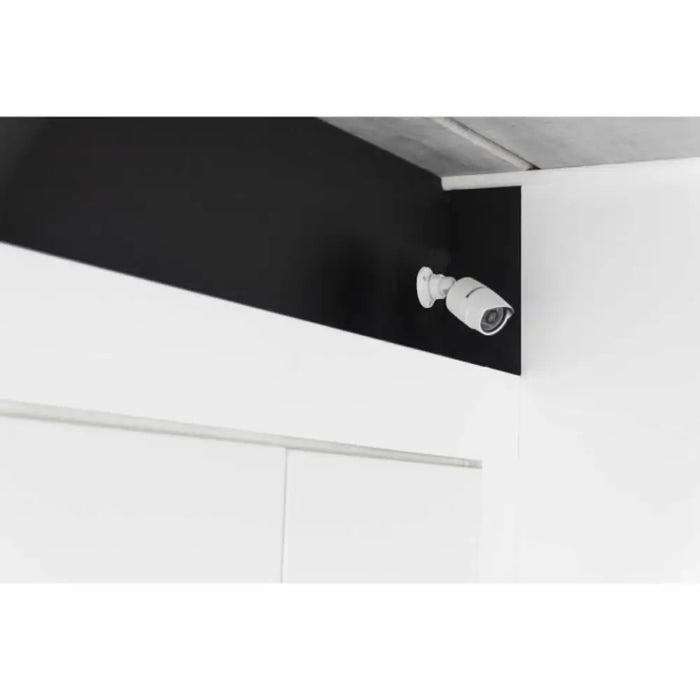 Simulated security camera Chacon - Сигурност Удома<<<Дом Градина<<<BigBuy&&&Видеокамери за наблюдение<<<Сигурност