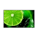 Широкоформатен дисплей NEC MultiSync E328 32’’ FHD 350cd/m2 Direct LED backlight 16/7 proof Media Player - Монитори и