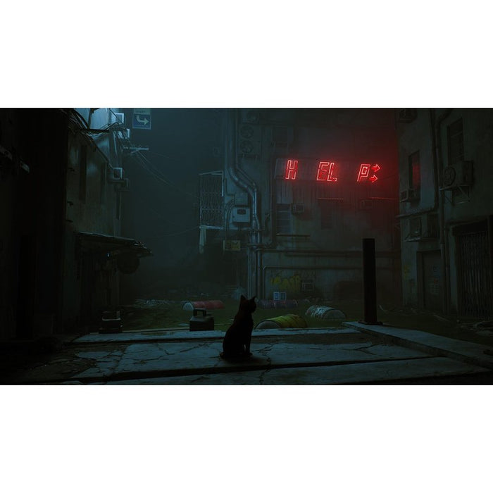 Stray Game (NSW)