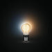 Smart Light bulb Philips Bombilla inteligente A60 - E27 7 W 40 W 60 W E27 LED - Сигурност Удома<<<Дом
