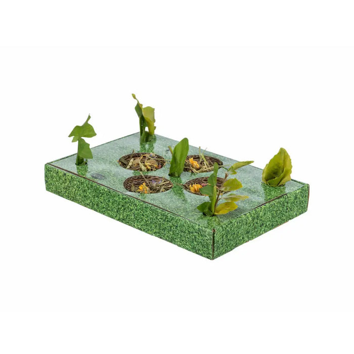 Snack tray Trixie Green Cardboard 28 x 3,8 x 18 cm - Домашни Животни<<<Дом Градина<<<BigBuy&&&Играчки<<<Домашни