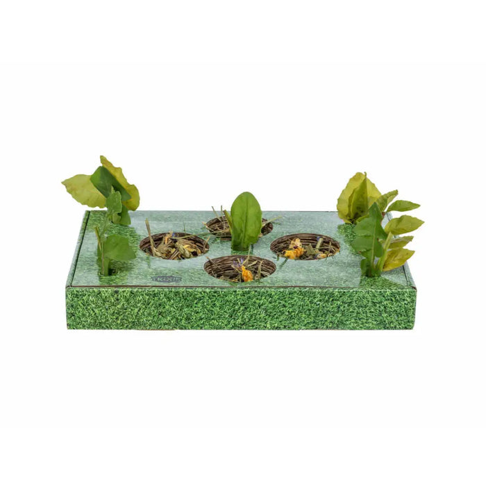Snack tray Trixie Green Cardboard 28 x 3,8 x 18 cm - Домашни Животни<<<Дом Градина<<<BigBuy&&&Играчки<<<Домашни